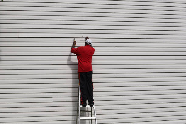 Reliable De Soto, IL Siding Solutions
