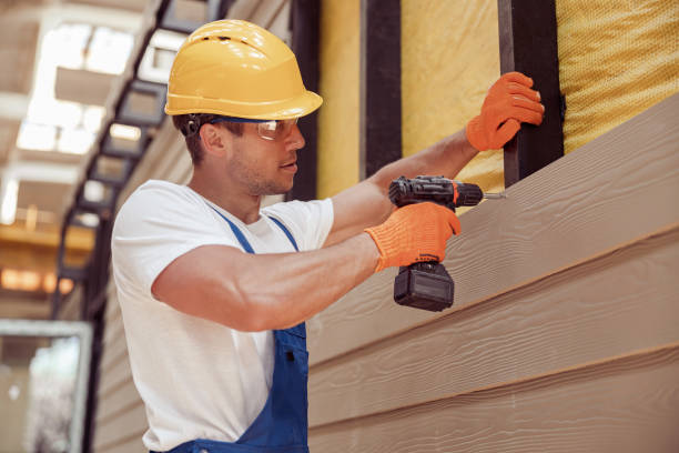 Best Brick Veneer Siding  in De Soto, IL
