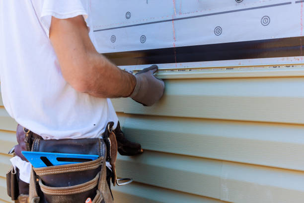 Affordable Siding Repair and Maintenance Services in De Soto, IL